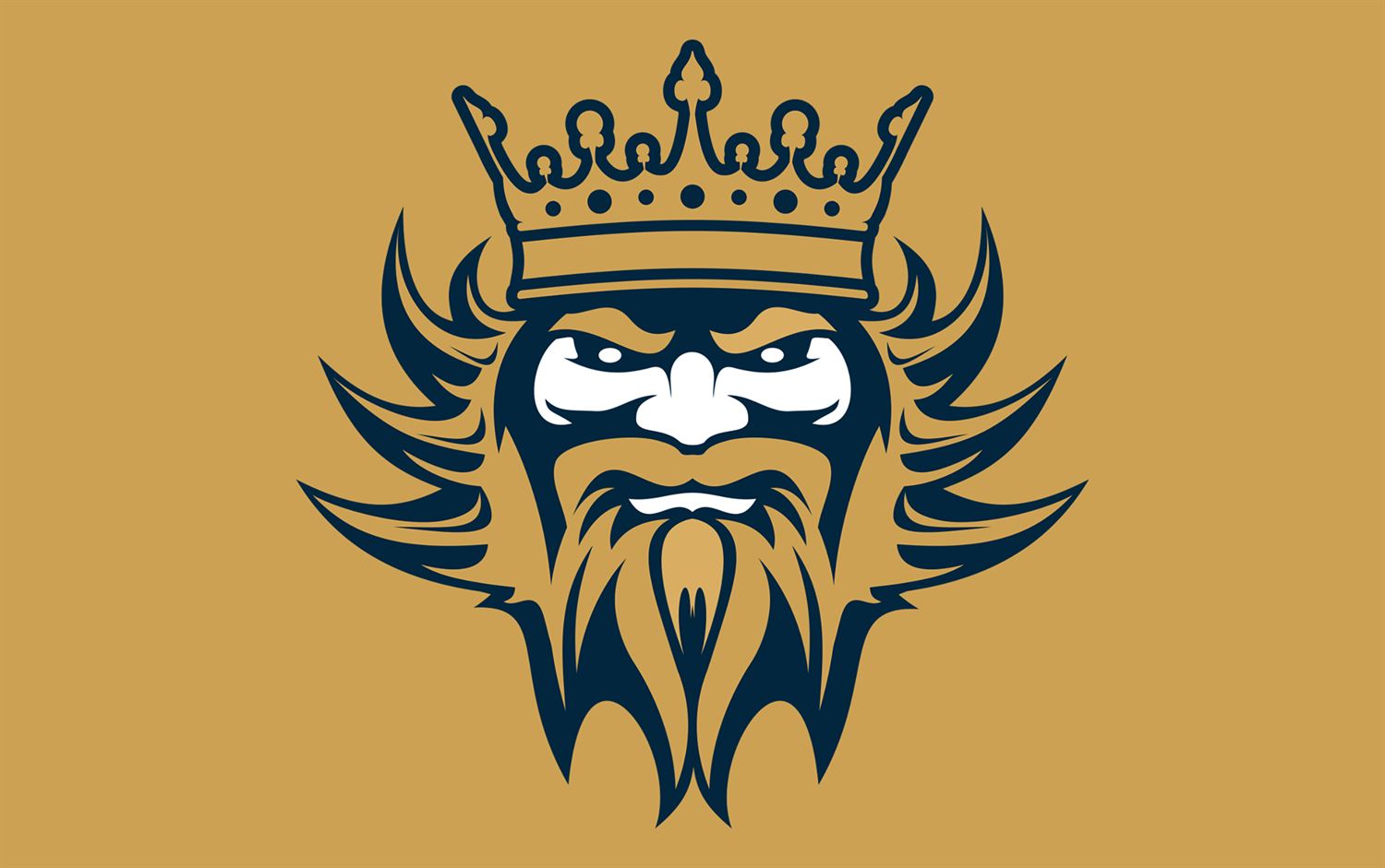 Barwy i logo Kraków Kings